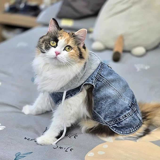 Puppy Harness Jacket for Small Dogs - Breathable Soft Dog Clothes with D-Ring for Leash, Lightweight Comfort Vest for Small Breed Puppies, Cats