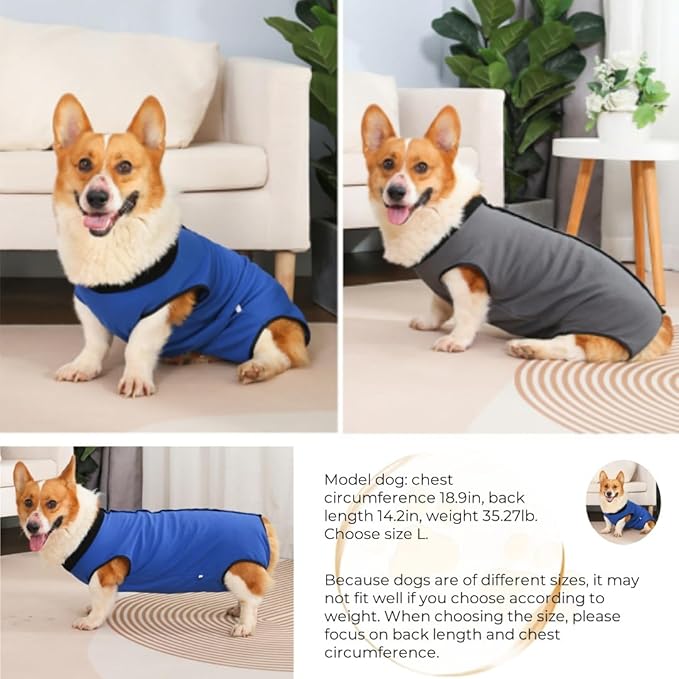 Dog Surgery Recovery Suit,Abdominal Surgical Suit for Dogs,Recovery Suit for Dogs,Prevent Licking Surgical Wound Dog Cone Alternative Blue L