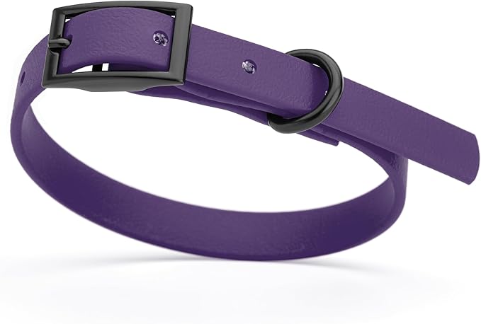 Dogline Biothane Waterproof Dog Collar Strong Coated Nylon Webbing with Black Hardware Odor- Proof for Easy Care Easy to Clean High Performance Fits Small Medium or Large Dogs, Violet Purple