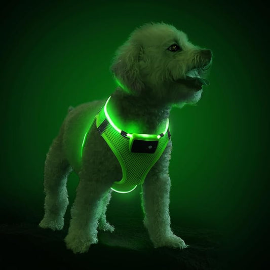 PceoTllar Light Up Dog Harness, LED No Pull Reflective Dog Harness, Flashing Lighted for Night Walking - Small/Medium, (Green L)