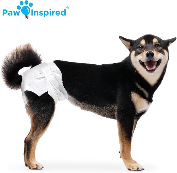 Paw Inspired Disposable Dog Diapers | Female Dog Diapers Ultra Protection | Diapers for Dogs in Heat, Excitable Urination, or Incontinence (12 Count, Medium)