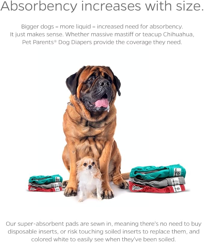 Pet Parents® Washable Dog Diapers (3pack) + Extendrs® of Durable Doggie Diapers, Premium Dog Diapers Female (X-Small, Southern Belle)