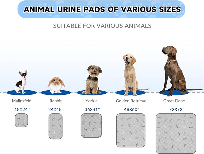 Sunheir Washable Pee Pads for Dogs Extra Large 48" x 60" 2-Pack, Reusable Puppy Pads Pet Training Pads for Dog Playpen Indoor, Waterproof Dog Pee Pads for Puppy Playpen, Whelping Pad - Sky Blue