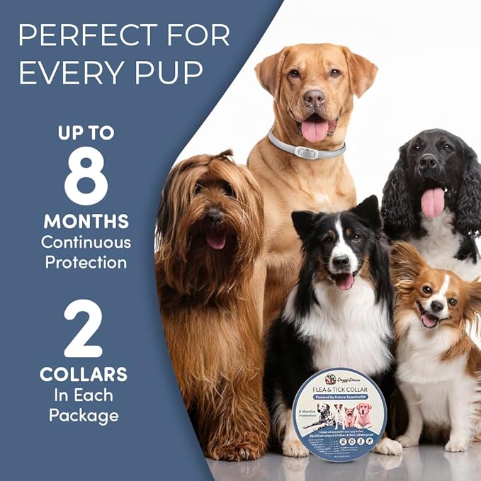 Flea and Tick Collar for Dogs, Cats – Natural Essential Oils – Long-Lasting 8 Month Protection – Waterproof, Adjustable – Safe for Puppies, Kittens, Sensitive Skin