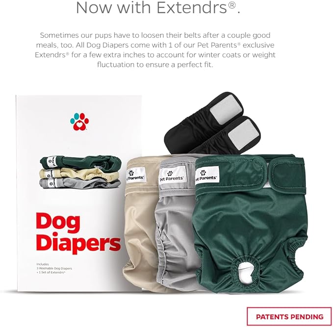 Pet Parents® Washable Dog Diapers (3pack) + Extendrs® of Durable Doggie Diapers, Premium Dog Diapers Female (Large, Spruce)