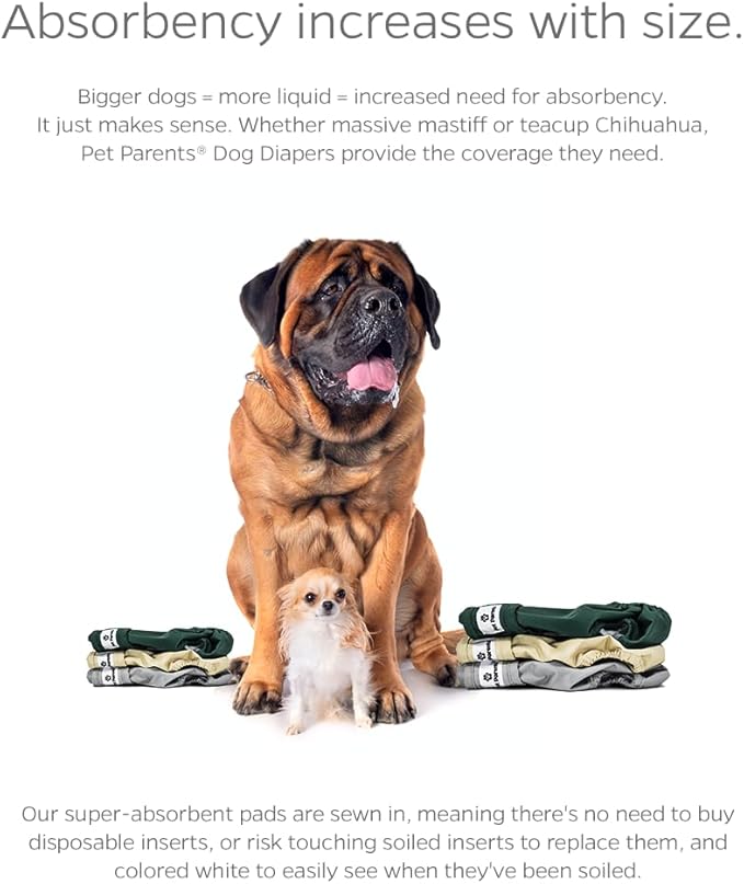 Pet Parents® Washable Dog Diapers (3pack) + Extendrs® of Durable Doggie Diapers, Premium Dog Diapers Female (Large, Spruce)
