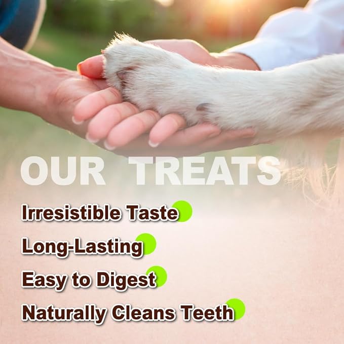 Afreschi Turkey Tendon Braid (M) 3.17 oz, USA-Sourced Turkey Tendon, All Natural Human Grade Dog Chew, Hypoallergenic, Rawhide Alternative, Dog Treats for Small & Medium Breeds