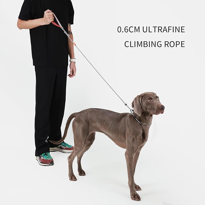 Dog Anti-Slip Leash 5FT with Metal Stopper - Durable No-Pull Training Lead for Small, Medium & Large Dogs - Comfortable Handle Nylon Rope, Tangle-Free Pet Walking Leash (Gray, 5 FT)