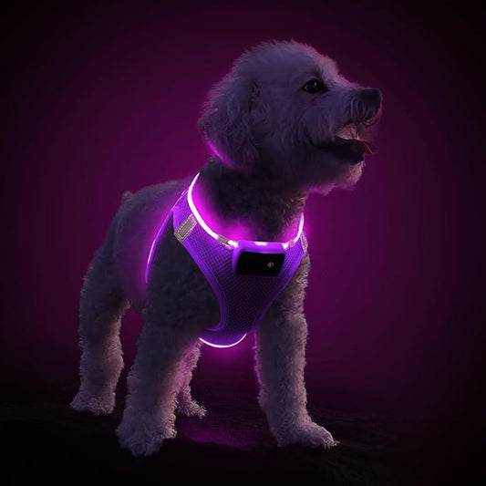 PceoTllar Light Up Dog Harness, LED No Pull Reflective Dog Harness, Flashing Lighted for Night Walking - Small/Medium, (Purple,XS)