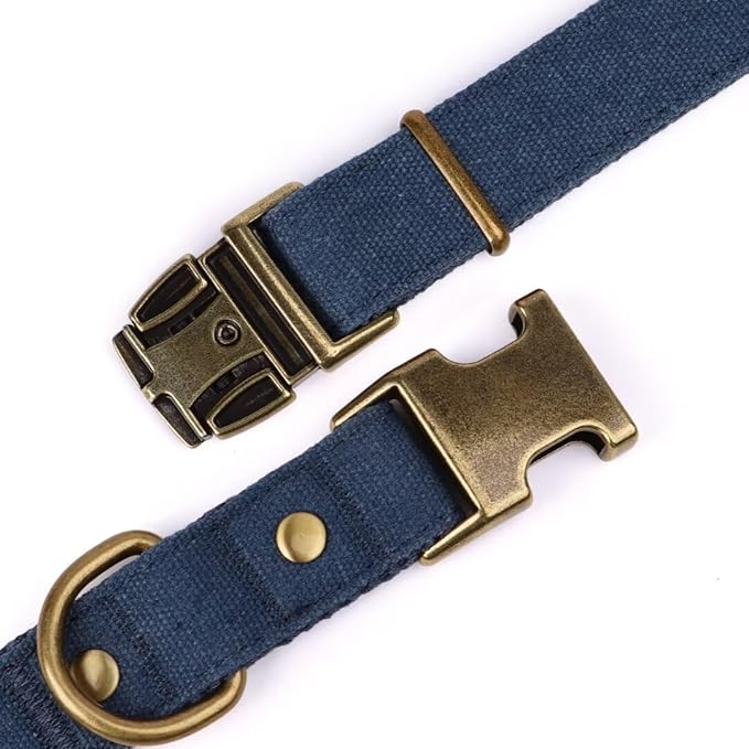 PET ARTIST Dog Collars for Medium Dogs, Soft Padded Premium Nylon Dog Collar with Quick Release Metal Buckle, Durable & Adjustable Pet Collars for Boy Gifts, Blue, M (Fit 13-20")