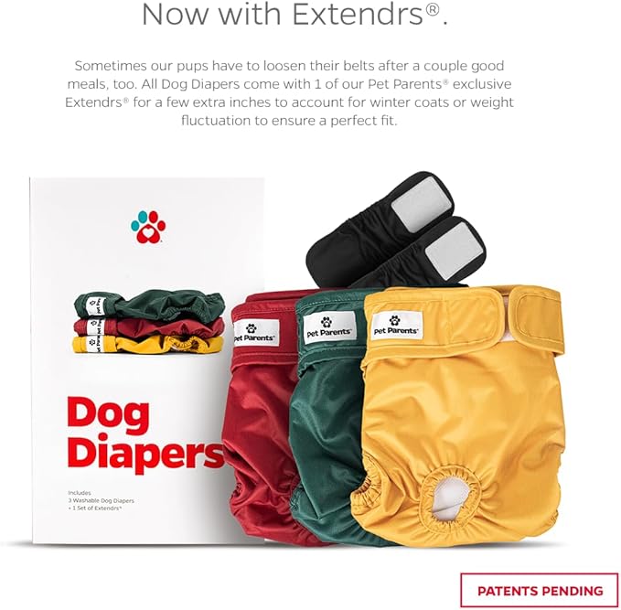 Pet Parents® Washable Dog Diapers (3pack) + Extendrs® of Durable Doggie Diapers, Premium Dog Diapers Female (Large, Samba)