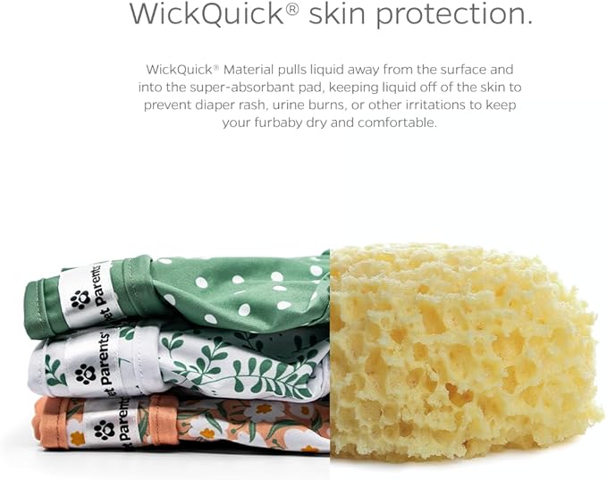 Pet Parents® Washable Dog Diapers (3pack) + Extendrs® of Durable Doggie Diapers, Premium Dog Diapers Female (Small, Daisy)