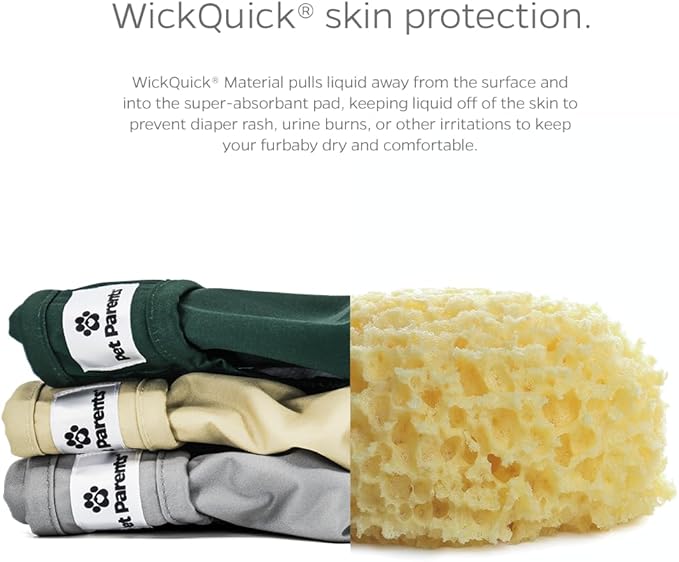 Pet Parents® Washable Dog Diapers (3pack) + Extendrs® of Durable Doggie Diapers, Premium Dog Diapers Female (Large, Spruce)