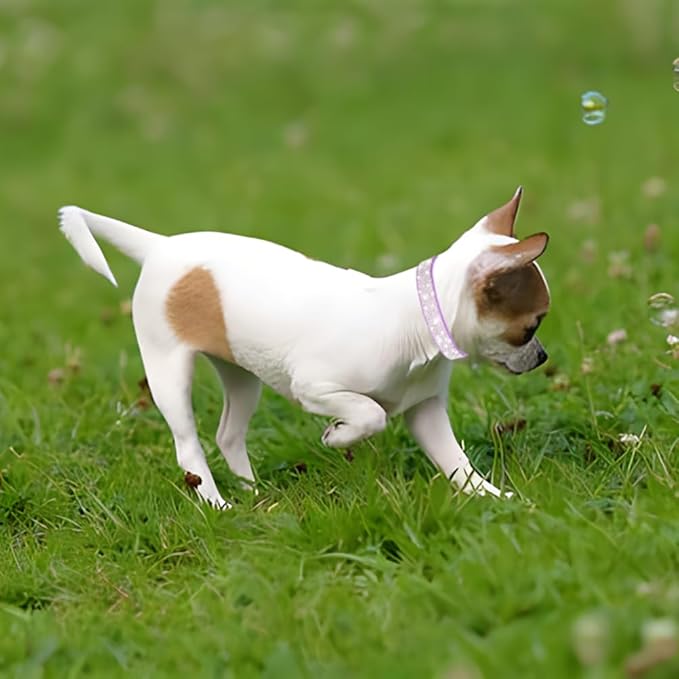 Rhinestone Dog Collar for Small Dogs, Bling Diamond Fancy Crystal Glitter Pretty Jewel Pet Puppy Collars for XXS XS Small Medium Large Breed Girl Dogs Female Cats Kitten, Blue S