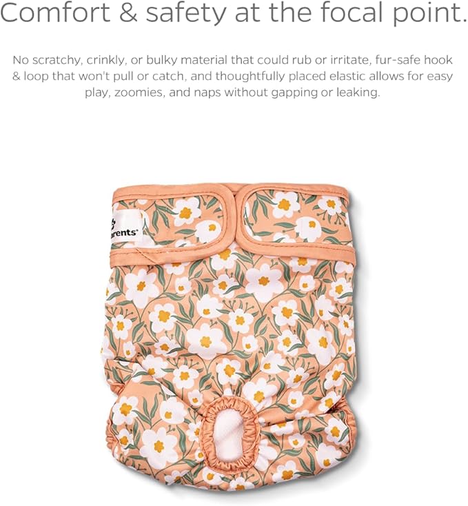 Pet Parents® Washable Dog Diapers (3pack) + Extendrs® of Durable Doggie Diapers, Premium Dog Diapers Female (X-Large, Daisy)