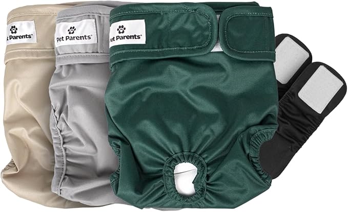 Pet Parents® Washable Dog Diapers (3pack) + Extendrs® of Durable Doggie Diapers, Premium Dog Diapers Female (Large, Spruce)