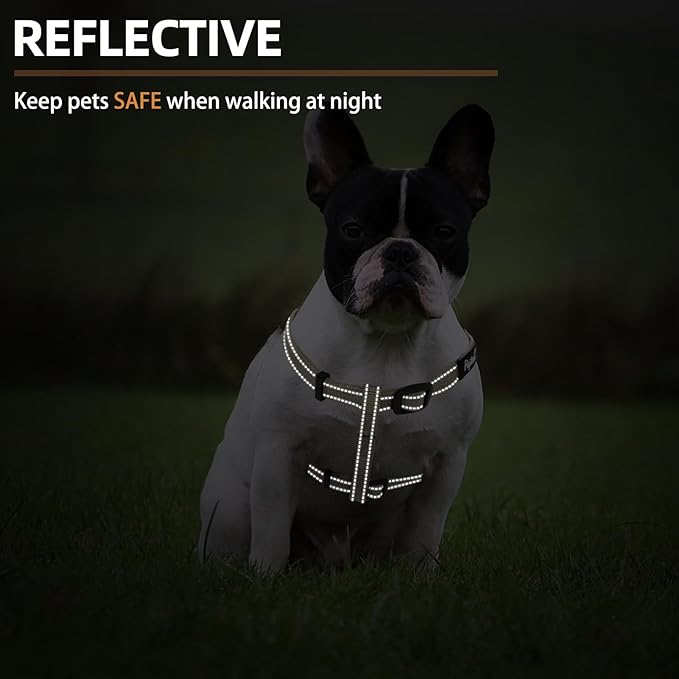 PUPTECK No Pull Dog Harness Soft Adjustable Basic Nylon Step in Puppy Vest Outdoor Walking with ID Tag, Reflecive Beige, S