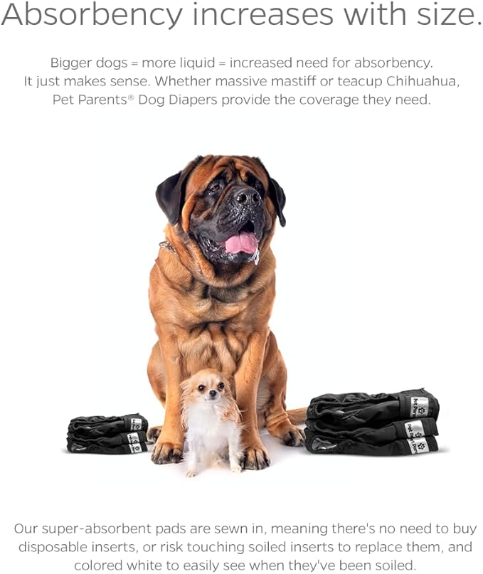 Pet Parents® Washable Dog Diapers (3pack) + Extendrs® of Durable Doggie Diapers, Premium Dog Diapers Female & Male (Small, Black)