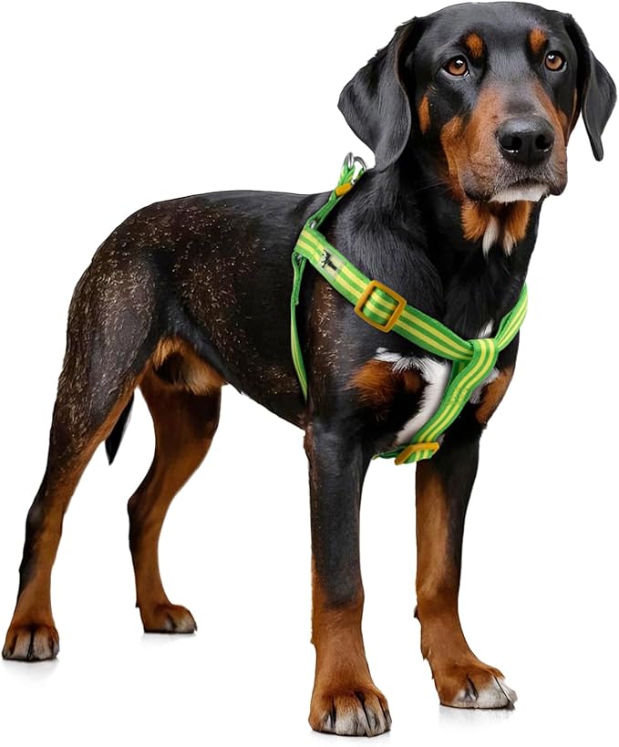 Stripe Step in Dog Harness for Small Dogs, Freedom Nylon Dog Halter Vests, Lightweight and Escape Proof Puppy Harness, Quick Fits for Small Medium and Large Dogs, Green XS