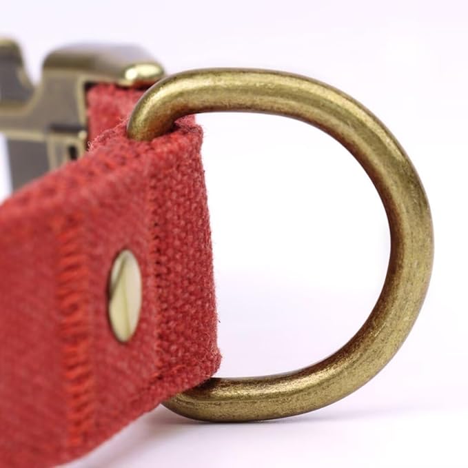 PET ARTIST Dog Collars for Medium Dogs, Soft Padded Premium Nylon Dog Collar with Quick Release Metal Buckle, Durable & Adjustable Pet Collars for Girl Gifts, Red, M (Fit 13-20")