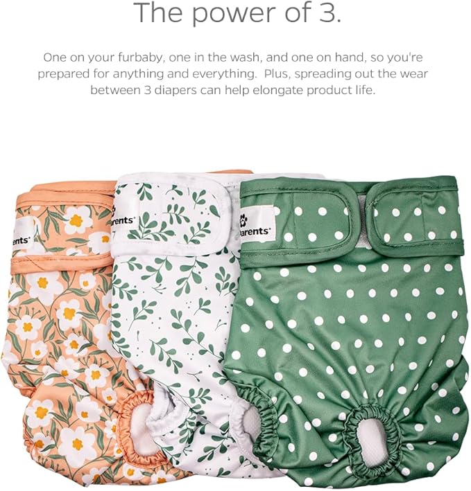 Pet Parents® Washable Dog Diapers (3pack) + Extendrs® of Durable Doggie Diapers, Premium Dog Diapers Female (Medium, Daisy)