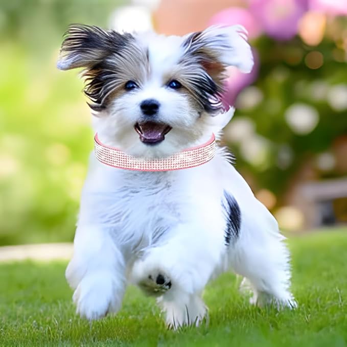 Rhinestone Dog Collar for Small Dogs, Bling Diamond Fancy Crystal Glitter Pretty Jewel Pet Puppy Collars for XXS XS Small Medium Large Breed Girl Dogs Female Cats Kitten, Blue M