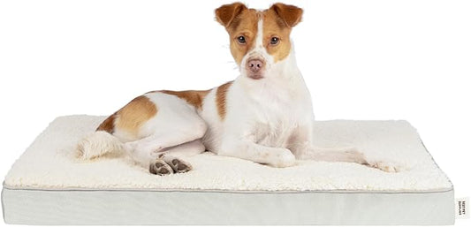 Best Pet Supplies Cute Dog Crate Mat Flat Bed with Waterproof Exterior, Thick Orthopedic Egg Foam Mattress, and Soft Sherpa Fleece Cover for Small, Medium, and Large Breeds - Beige, 24X16X3