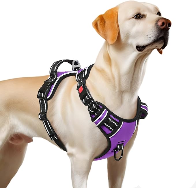 Timos Dog Harness Large Sized, No Pull with Neck Lockable Snap,No Choke Front Clip Dog Reflective Harness,Adjustable Metal Rings 3 Buckles,Easy Control Handle for Large Dogs Purple L
