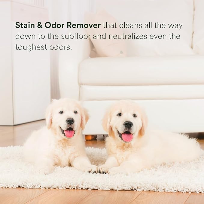 pawTree Urine Eliminator™ - Stain & Odor Remover for Cats and Dog. Enzymatic technology permanently removes old and new stains, neutralizes odors, and prevents repeat marking. Ideal for carpets.