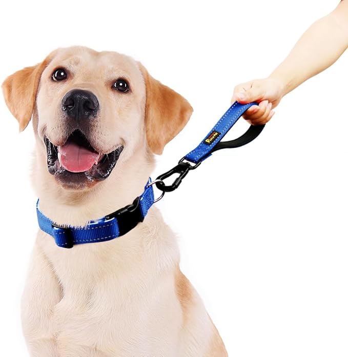 PLUTUS PET Short Dog Leash, Reflective Nylon Padded Handle, Strong Traffic Leash with Carabiner Clip, Perfect for Large or Medium Dogs (10”，Royal Blue)