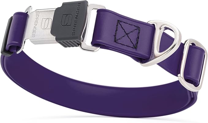 Dogline Biothane Waterproof Dog Collar with Herm Sprenger Stainless Steel Quick Release Buckle – Heavy Duty Tactical Durable Collar for Dogs – Comfortable and Safe Pet Collar, W 1" L 15-25", Purple