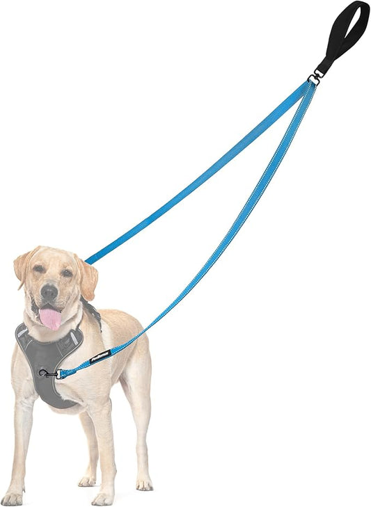 PetBonus Two Point Control Dog Leash, Works with No Pull Harnesses, No Tangle Training Leashes, Soft Padded and Reflective Walking Lead, Converts to Single Lead for Medium Large Dogs (Light Blue)