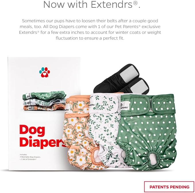 Pet Parents® Washable Dog Diapers (3pack) + Extendrs® of Durable Doggie Diapers, Premium Dog Diapers Female (X-Large, Daisy)