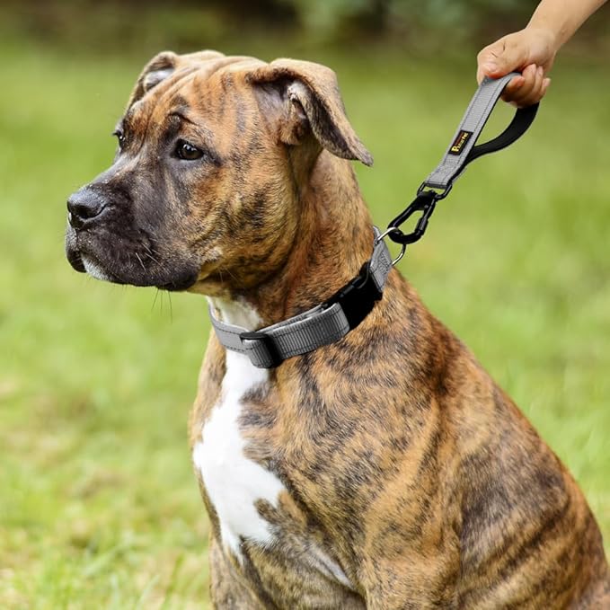 PLUTUS PET Short Dog Leash, Reflective Nylon Padded Handle, Strong Traffic Leash with Carabiner Clip, Perfect for Large or Medium Dogs (10”，Gray)