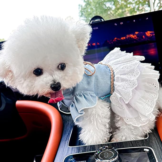 Girl Dog Denim Dress with Flared Sleeves Dog Jeans Jacket Blue White Puppy Clothes for Small Dogs Cat Apparel Cake Skirt Pet Outfit (Blue, X-Large)