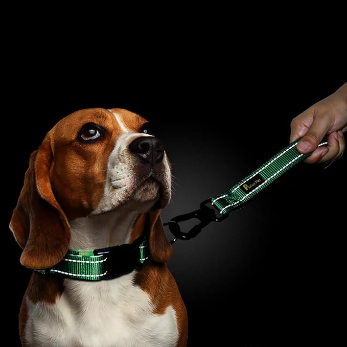 PLUTUS PET 10” Short Dog Leash, Reflective Nylon Padded Handle, Strong Traffic Leash with Carabiner Clip, Perfect for Large or Medium Dogs（10”，Green