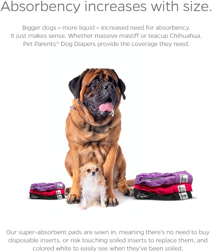 Pet Parents® Washable Dog Diapers (3pack) + Extendrs® of Durable Doggie Diapers, Premium Dog Diapers Female (Large, Princess)