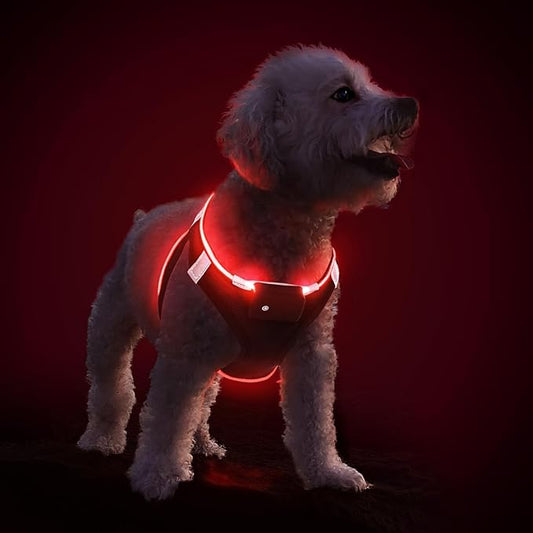 PceoTllar Light Up Dog Harness, LED No Pull Reflective Dog Harness, Flashing Lighted for Night Walking - Small/Medium, (Black Red,s)