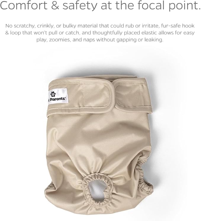 Pet Parents® Washable Dog Diapers (3pack) + Extendrs® of Durable Doggie Diapers, Premium Dog Diapers Female (Small, Spruce)