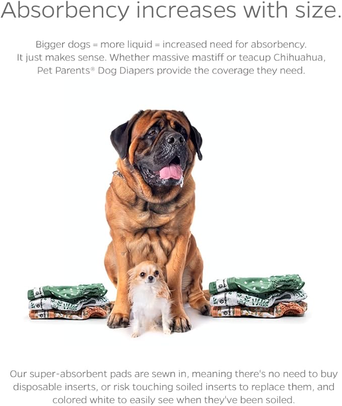 Pet Parents® Washable Dog Diapers (3pack) + Extendrs® of Durable Doggie Diapers, Premium Dog Diapers Female (Large, Daisy)
