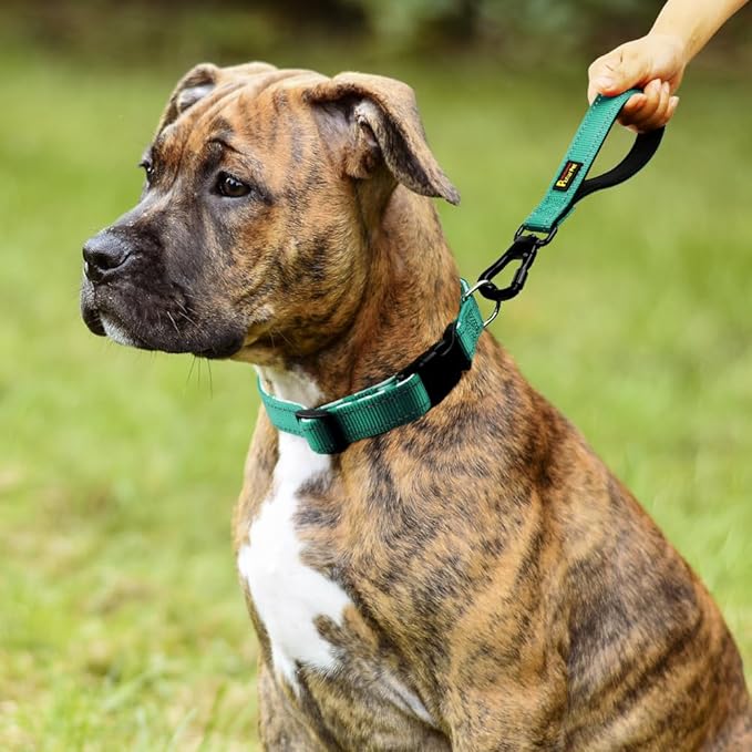 PLUTUS PET Short Dog Leash, Reflective Nylon Padded Handle, Strong Traffic Leash with Carabiner Clip, Perfect for Large or Medium Dogs (10”，Teal)