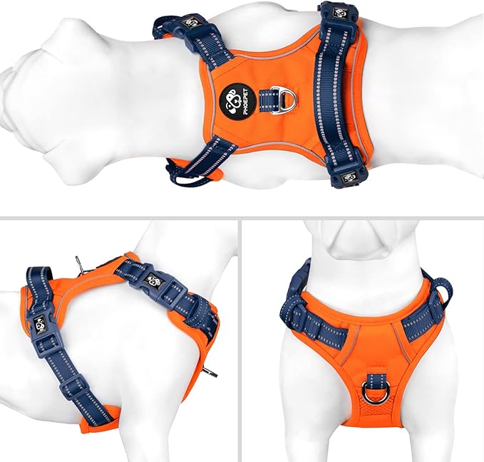 PHOEPET No Pull Dog Harness, Unique Colors Reflective Adjustable Dog Vest, with Soft Training Handle Metal Clips for Small Medium Large Dogs (Orange Base & Blue Straps,M)