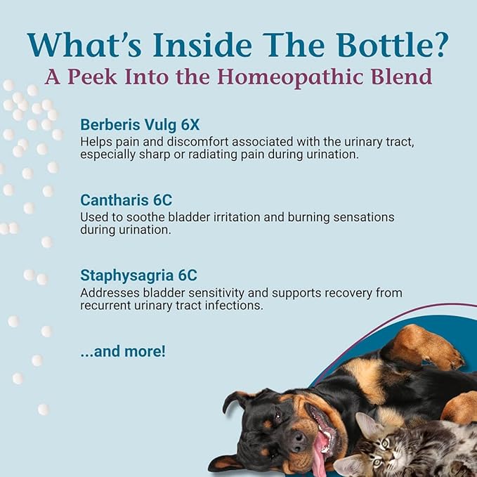 PetAlive Cat and Dog UTI Treatment - Homeopathic Remedy for Dog and Cat UTI Treatment - Supports Bladder Comfort, Reduces Dribbling, Incontinence, Eases Frequent Urination - 1 oz Granules