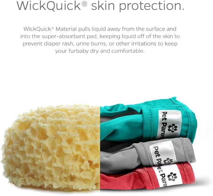 Pet Parents® Washable Dog Diapers (3pack) + Extendrs® of Durable Doggie Diapers, Premium Dog Diapers Female (X-Small, Southern Belle)