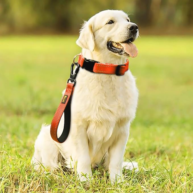 PLUTUS PET 10” Short Dog Leash, Reflective Nylon Padded Handle, Strong Traffic Leash with Carabiner Clip, Perfect for Large or Medium Dogs（10”，Orange
