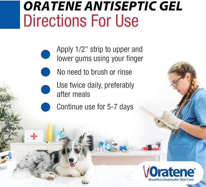 Pet King Brands ZYMOX Oratene Brushless Oral Gel for Dogs and Cats, 1oz