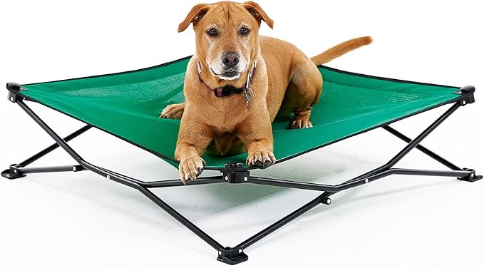 Coolaroo On-The-Go Elevated Dog Bed - Foldable Pop-Up Travel Dog Bed with Breathable, Moisture-Resistant Fabric, Carry Bag Included, Lightweight & Portable, Emerald Green, Large
