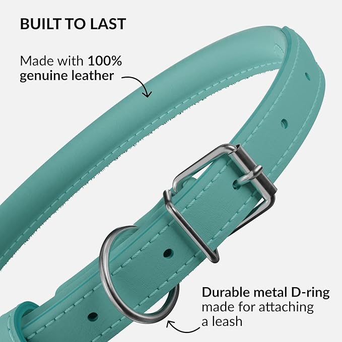 CollarDirect Rolled Leather Dog Collar, Soft Padded Round Puppy Collar, Handmade Genuine Leather Collar Dog Small Large Cat Collars 13 Colors (18-22 Inch, Mint Green Smooth)
