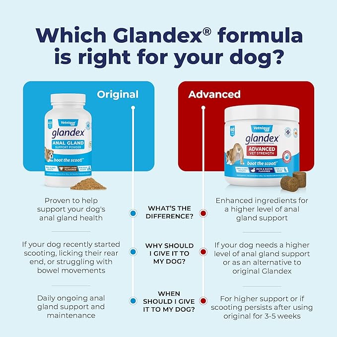 Vetnique Labs Glandex Dog Fiber Supplement Powder for Anal Glands with Pumpkin, Digestive Enzymes & Dog Probiotics for Digestive Health - Vet Recommended - Boot The Scoot (Pork Liver, 5.5oz Powder)