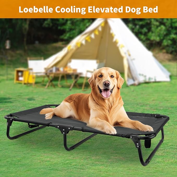 Elevated Dog Bed, Foldable Raised Dogs Bed Outdoor Dog Cots Beds for Large Dogs Cooling Outside Camping Chew-Proof No Assembly Need, Black